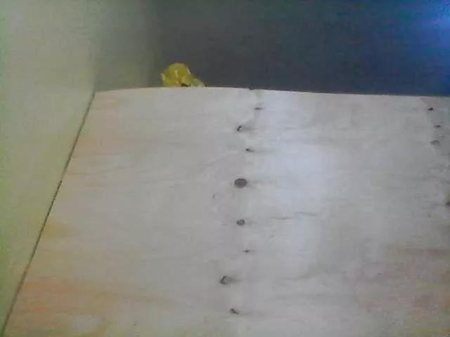 Bebgall2023 from BongaCams