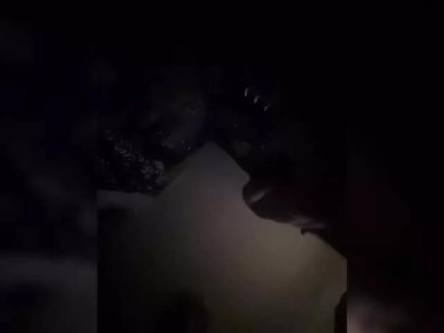 DiiRolla from BongaCams