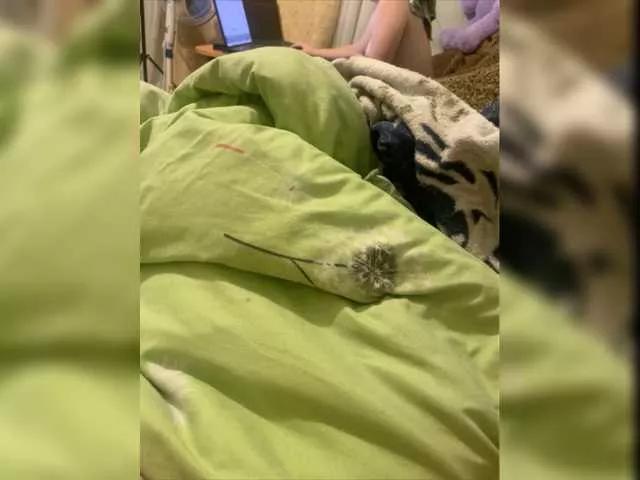 JassicaMar from BongaCams