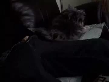 66bear from Chaturbate