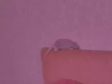 barbara_bb from Chaturbate