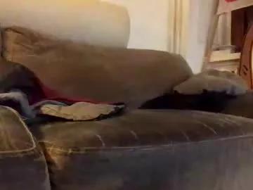bigboadick from Chaturbate is Freechat