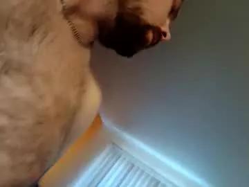 Camerontaylorcub from Chaturbate