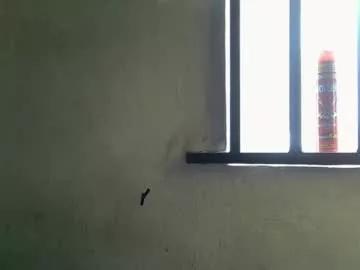 cockfanx from Chaturbate is Freechat