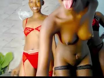 cocoakitty1 from Chaturbate is Freechat