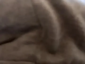 deliv_shopi from Chaturbate is Freechat