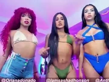 Try our streaming cams variety and talk on a personal level with our adorable girls streamers, showing off their bountiful shapes and dildos.