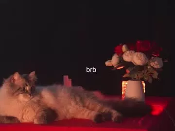 Hannasthesia from Chaturbate