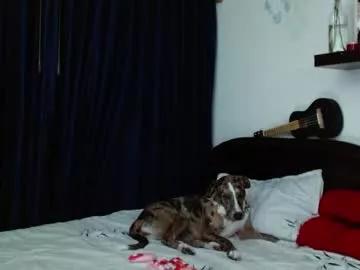 kitty_vaal from Chaturbate