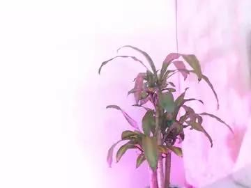 lily_meghan from Chaturbate