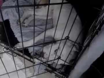 love_coin from Chaturbate is Freechat