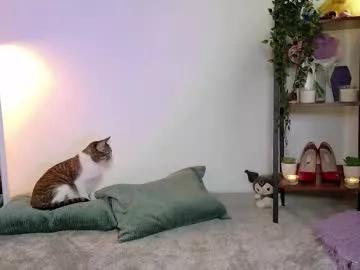 lucy_meoww from Chaturbate is Freechat