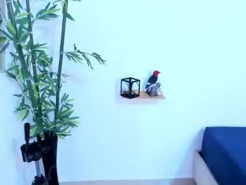 miss_danikaa from Chaturbate is Freechat