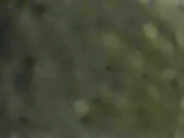 Pleezsukit from Chaturbate