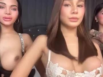 Try our streaming cams variety and talk on a personal level with our adorable girls streamers, showing off their bountiful shapes and dildos.