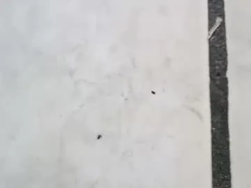 tall6feet7inch on Chaturbate 