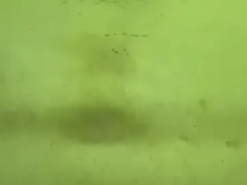 Tamanna02 from Chaturbate