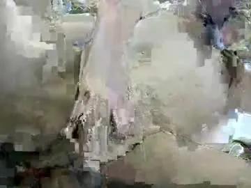 taquchan from Chaturbate is Freechat