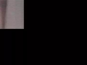 the_hottest81 from Chaturbate is Freechat