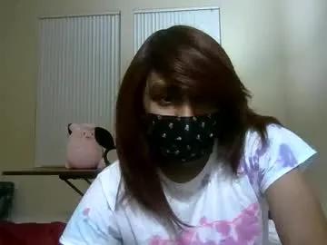 twinkyteddy from Chaturbate is Freechat