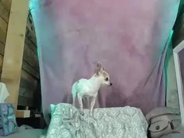 veronica90210 from Chaturbate is Freechat