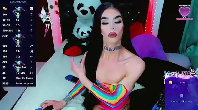 Try our streaming cams variety and talk on a personal level with our adorable girls streamers, showing off their bountiful shapes and dildos.