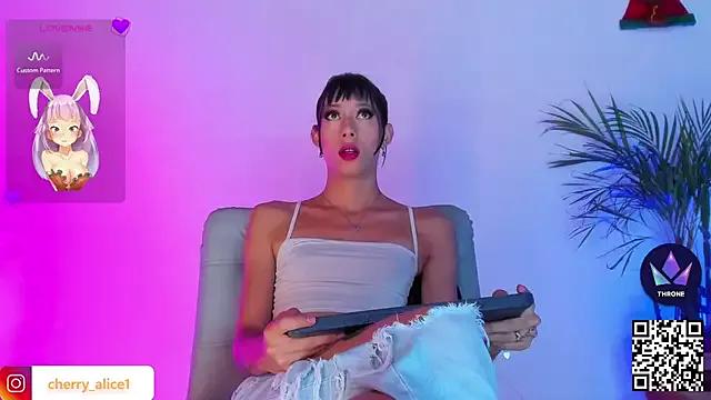 Try our streaming cams variety and talk on a personal level with our adorable girls streamers, showing off their bountiful shapes and dildos.