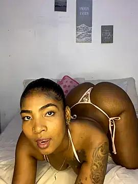 Try our streaming cams variety and talk on a personal level with our adorable girls streamers, showing off their bountiful shapes and dildos.