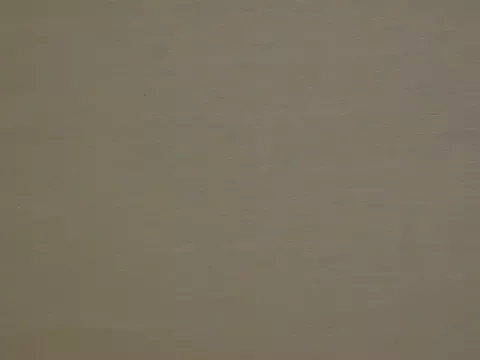 allenspuninfla on StripChat 