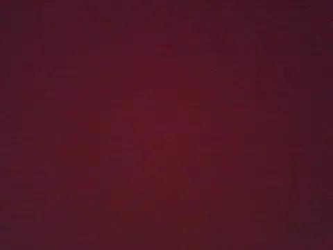 Analimado18 from StripChat