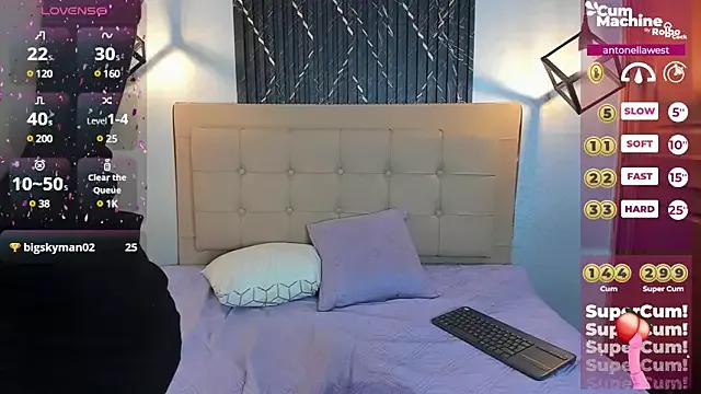 Try our streaming cams variety and talk on a personal level with our adorable girls streamers, showing off their bountiful shapes and dildos.