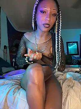 aquatofauna from StripChat