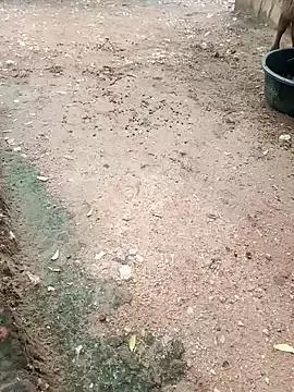 Babita_ranni from StripChat is Freechat