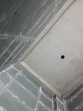 Bee-bgolden on StripChat 