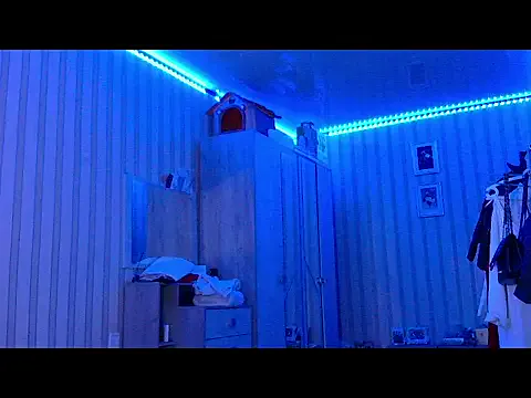 bellameow88 on StripChat 