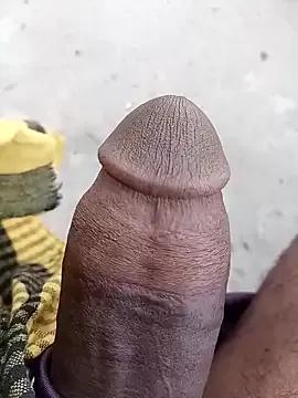 Bengali_BULL1 from StripChat is Freechat
