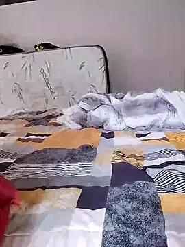 boobzilla69 from StripChat is Freechat