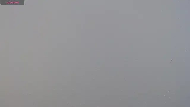 Camila_Torresss from StripChat is Freechat