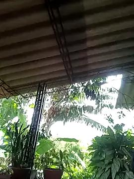 Canelacrush from StripChat