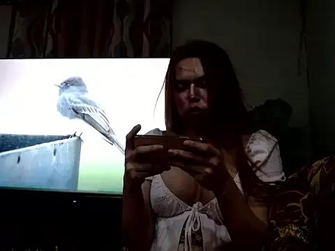 Try our streaming cams variety and talk on a personal level with our adorable girls streamers, showing off their bountiful shapes and dildos.