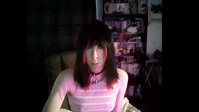 Try our streaming cams variety and talk on a personal level with our adorable girls streamers, showing off their bountiful shapes and dildos.