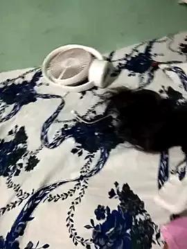 Cute_Jara007 from StripChat is Freechat