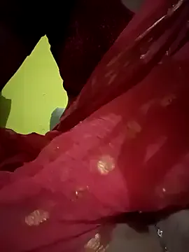 Deeksha-1996 on StripChat 