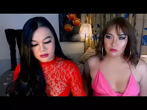 Try our streaming cams variety and talk on a personal level with our adorable girls streamers, showing off their bountiful shapes and dildos.