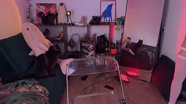 Erectioneering from StripChat