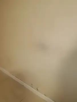 Estefymariam88 from StripChat