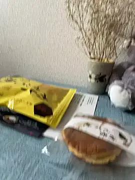 gin_shelly from StripChat is Freechat