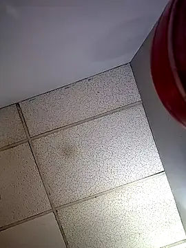 GsSpot69 on StripChat 