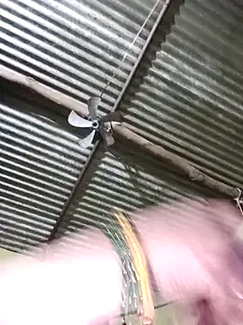 Haliya88 from StripChat is Freechat