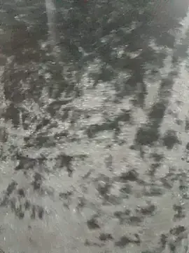 Heena-curvy on StripChat 